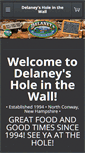 Mobile Screenshot of delaneys.com